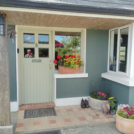 Dromelihy House Stud Konuk evi Doonbeg Dış mekan fotoğraf