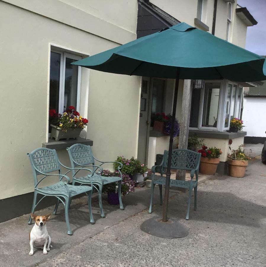 Dromelihy House Stud Konuk evi Doonbeg Dış mekan fotoğraf